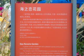 深圳簕杜鹃花展