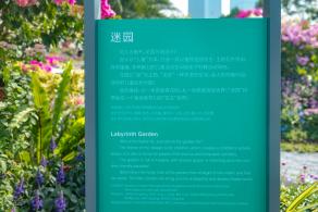 深圳簕杜鹃花展