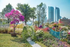 深圳簕杜鹃花展