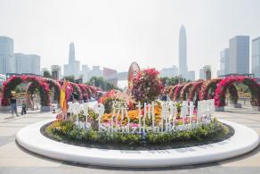 深圳簕杜鹃花展