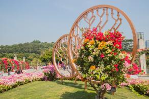 深圳簕杜鹃花展