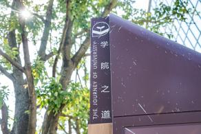 大沙河生态长廊