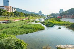 大沙河生态长廊