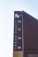 大沙河生态长廊