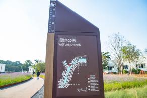 大沙河生态长廊