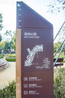 大沙河生态长廊