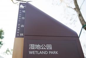 大沙河生态长廊