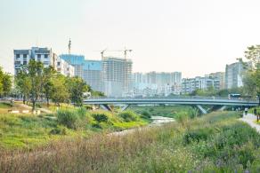 大沙河生态长廊