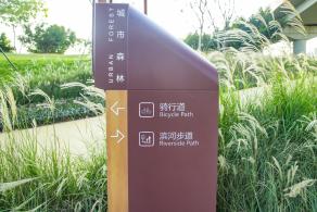 大沙河生态长廊