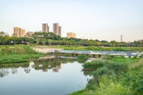 大沙河生态长廊