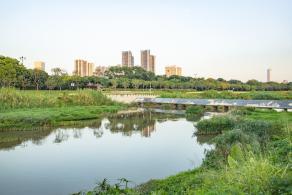 大沙河生态长廊
