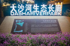 大沙河生态长廊