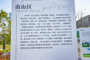 深圳北站中心公园
