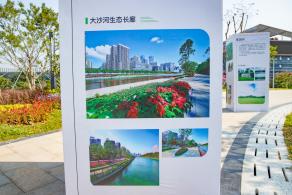 深圳北站中心公园