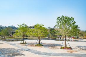 深圳北站中心公园