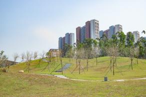 深圳北站中心公园