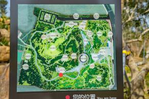 深圳北站中心公园