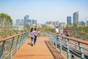 深圳北站中心公园