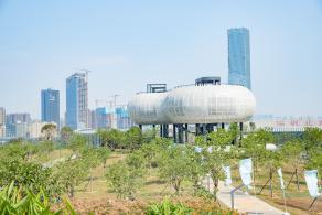 深圳北站中心公园
