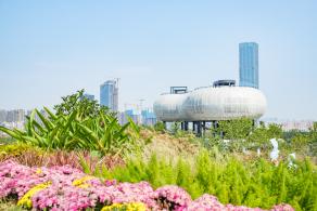 深圳北站中心公园
