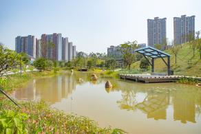 深圳北站中心公园