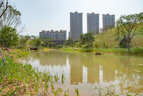 深圳北站中心公园
