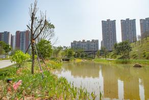 深圳北站中心公园