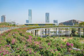 深圳北站中心公园