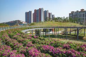 深圳北站中心公园