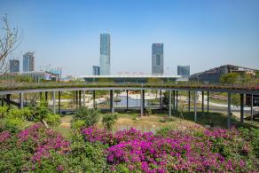 深圳北站中心公园