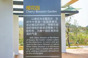 深圳北站中心公园