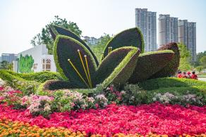 深圳北站中心公园