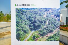 深圳北站中心公园
