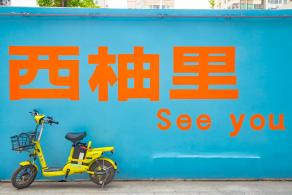 光明西柚小镇