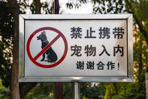 红花山公园