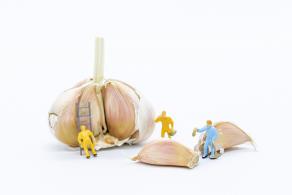 创意劳动工人