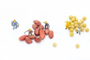 创意劳动工人