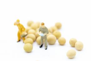 创意劳动工人