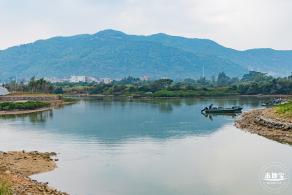 禾塘湿地园粉黛乱子草