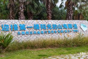 禾塘湿地园粉黛乱子草