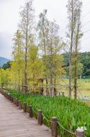 禾塘山水公园