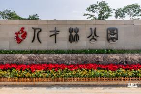 宝安人才林公园