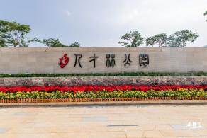 宝安人才林公园