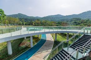 宝安人才林公园