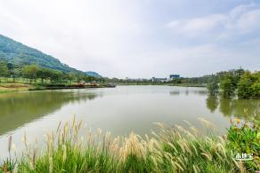 宝安人才林公园