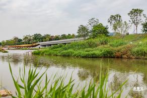 左岸科技公园