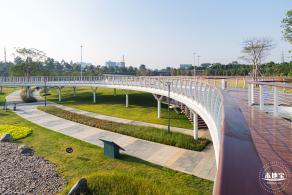 楼村湿地公园