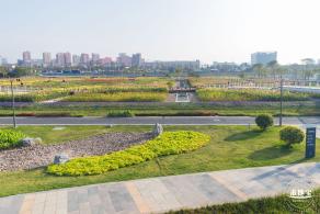 楼村湿地公园