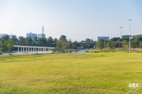 楼村湿地公园