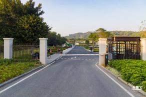 楼村湿地公园